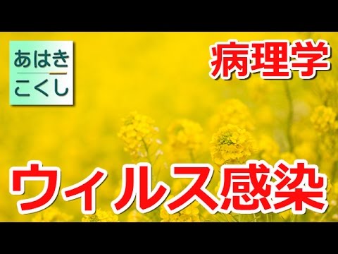 鍼灸 国家試験対策 病理学 - ウィルス感染症 [あはきこくし]