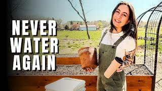 Self Watering Pots | Olla Garden Watering System + ThirstyEarth Review 💧