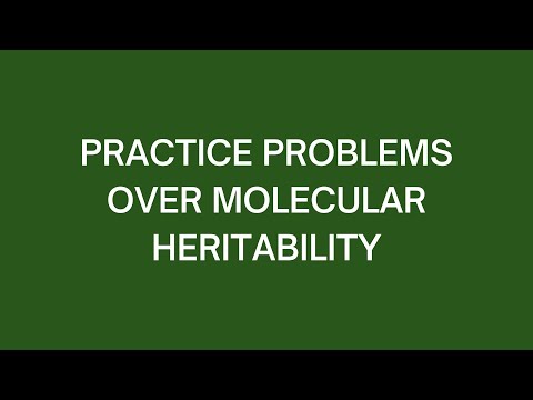 Practice Problems Over Molecular Heritability