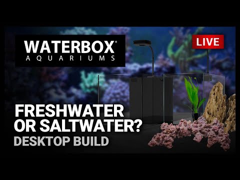 Episode 147: Aquascaping  Freshwater and Saltwater Desktop Aquariums.