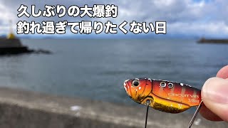 【神回】冬の琵琶湖でメタルバイブで爆釣できちゃいました！【冬バス攻略】