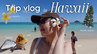 【Hawaii Trip】6泊8日の円安、物価高すぎたハワイ🌺🏝️滞在中の費用も公開💸