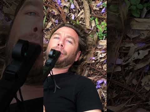 Under the Jacaranda - Native American Style Flute Improvisation in D - Haitch Music