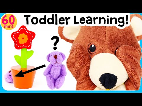 Toddler toys Learning | Hide & Seek + more! Learning videos for Babies, 2 year old, 3 & 4 year olds