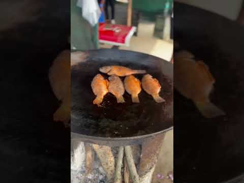 #mtivation #fishfry #fishtawafry #tawafishfry #tawafish #tawafishfryrecipe #fishlover #fishrecipe