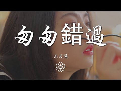 王天陽 - 匆匆錯過『我們都習慣匆匆錯過』【動態歌詞Lyrics】