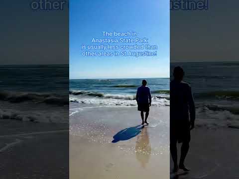 Beach Day at Anastasia State Park in St Augustine Florida