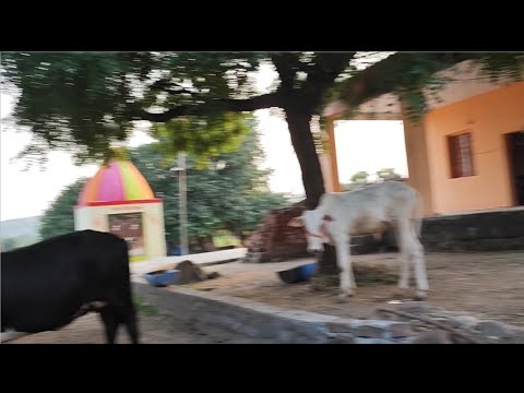 DIWALI vlog | Hometown | Village | #travel