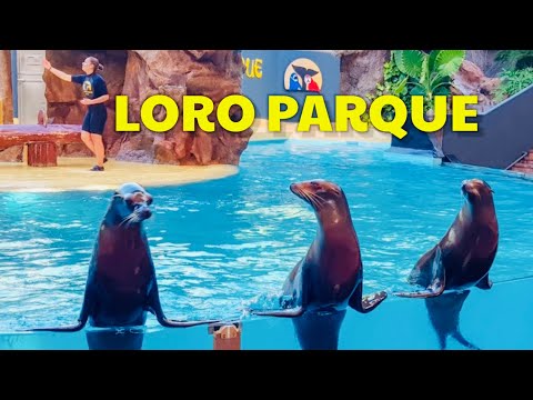 Sea Lion Show - Loro Park, Loro Parque, Tenerife, Spain 🇪🇸 #show #top #funny  #travel #family