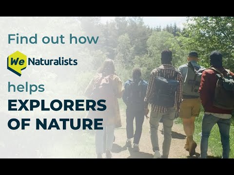 Find how WeNaturalists helps Nature Enthusiasts Enrich their Experiences, Connect and Share Globally