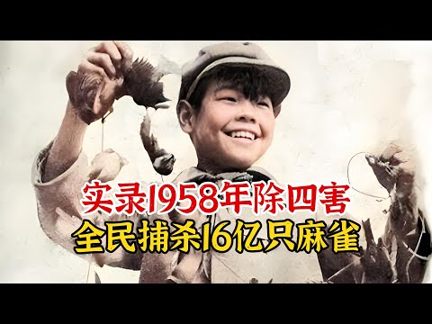 实录1958年除四害运动，全国捕杀16亿只麻雀影像，差点让其灭种