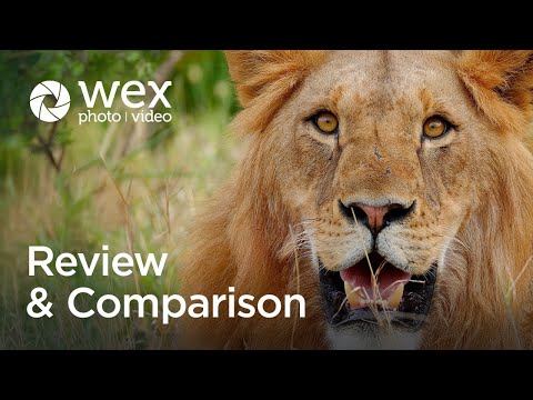 Review | Ellie Rothnie on the @CanonEurope EOS R5 MK II and EOS R1 | Kenya on Safari