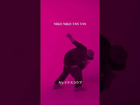 NIKO NIKO TAN TAN - カレイドスコウプ