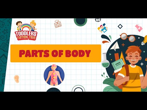 Human Body Parts Name With Picture | Body Parts For Kids | Parts Of Body Rhymes