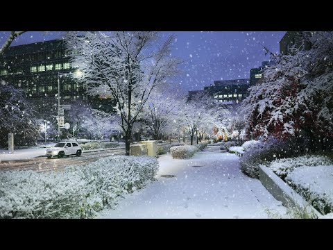 Heavy Snowfall in SEOUL, Samsung Electronics R&D Campus snowfall, Seoul Travel Walker.