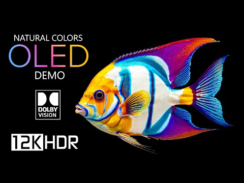 OLED Demo: Best of Dolby Vision HDR 12K 120 fps (12K Video)