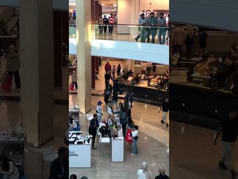 Square One Mall #ontario #canada #shortvideo