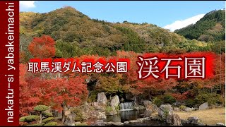 【ドライブ動画】紅葉　耶馬渓の渓石園