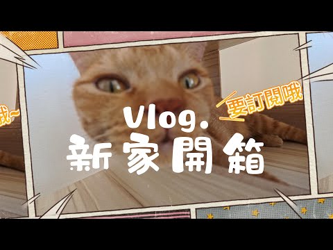 🏠【VLOG】新家開箱｜休露一個月就是為了搬家｜露營裝備終於有個家｜貓咪成員介紹