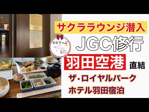 【サクララウンジ初潜入】羽田空港直結 ザ・ロイヤルパークホテル羽田に宿泊　部屋から駐機場が見える面白ロケーション！アラフォー女子一人旅 JGC修行#14～16（＃８）