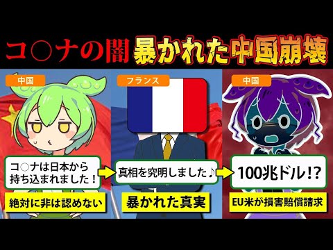 中国「コ〇ナは日本から持ち込まれた！」アメリカ「中国に100兆ドル請求します」全世界を揺るがしたウイルスの真実とは！？【ずんだもん＆ゆっくり解説】【ずんだもん探偵～Z～第1弾】