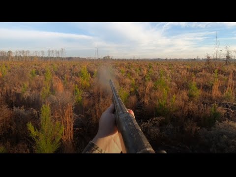 SC Deer Dog Drive 12/4/21: Big Billy doubles up on Killshots!