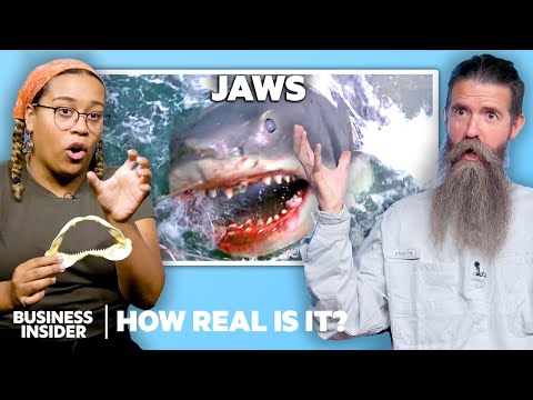 Animal Experts Rate 59 Animal Attacks In Movies And TV | How Real Is It? | Insider | Marathon