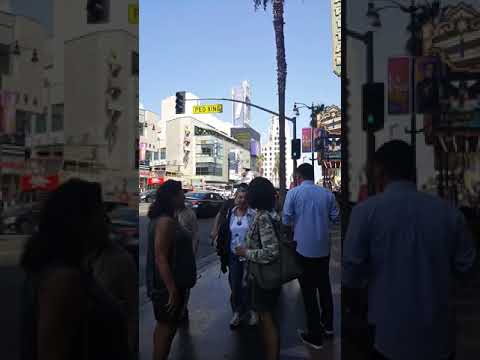 STROLLING HOLLYWOOD BOULEVARD CA USA 🇺🇲 || JANICE MILLIS #hollywood #california #short