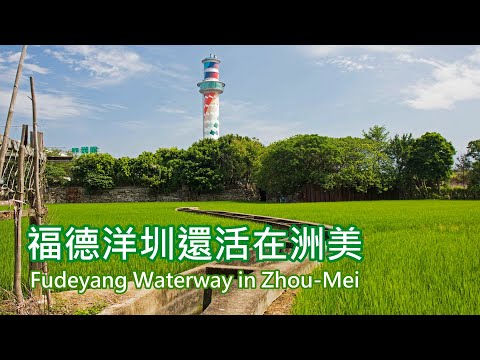 4-18 福德洋圳還活在洲美 Fudeyang Waterway in Zhou-Mei