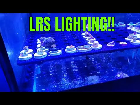 Final thoughts on Aqamai LRS lighting