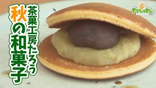 おいしい栗の季節「茶菓工房たろう」秋の和菓子（おでかけ中継）