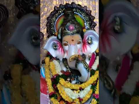 ❤️🙏So itz Sunday ...mini vlog with My ganesh #ganeshchaturthi #ganesh_chaturthi_status #viral