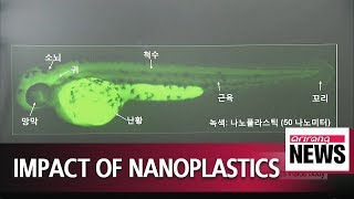 Korean researchers verify accumulation, toxic effects of nanoplastics inside body