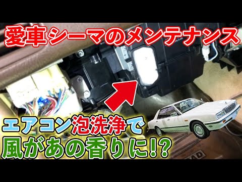 【愛車点検】伊藤かずえの愛車・日産シーマの６ヶ月点検🚘夏に欠かせない「エアコン清掃」で快適！風が●●●の香りに！？