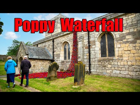 D-Day Commemorations. Poppy Event at Hart Village Church, with a Waterfall of Honour.