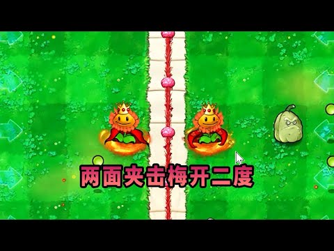 【植物大戰僵尸】兩面夾擊梅開二度！