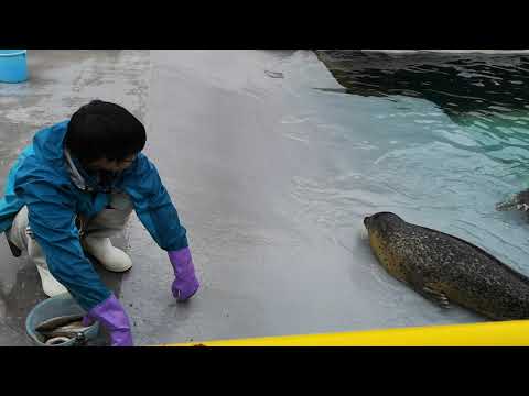 2019/08/09 旭山動物園