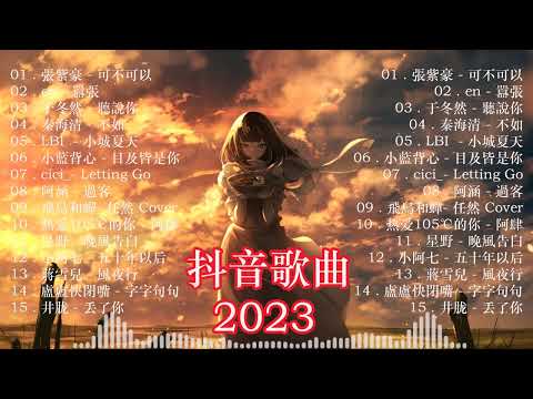 2023抖音熱播不中斷連續播放 🔥 精選神曲必聽【非常好聽】好聽歌曲不間斷【動態歌詞】