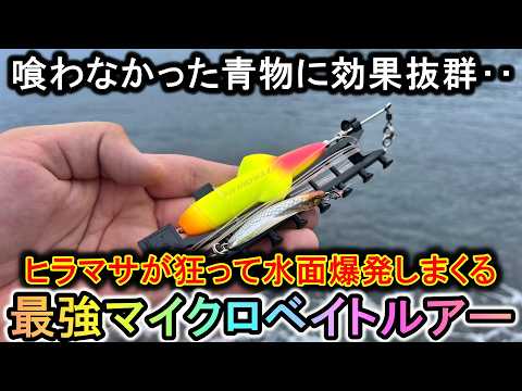 ヒラマサが飛び出しまくり…喰わない青物に水面爆発させまくるこのルアーは最強です