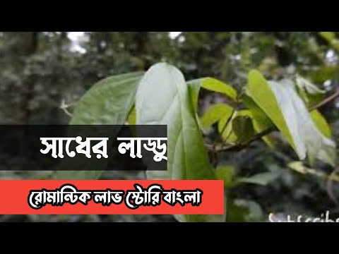 সাধের লাড্ডু || রোমান্টিক লাভ স্টোরি বাংলা ||Anika Dairy