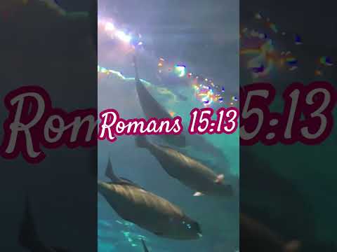 Romans 15:13 #Truth #water #Love #Godscreation #bibleverseoftheday  #travel #aquarium