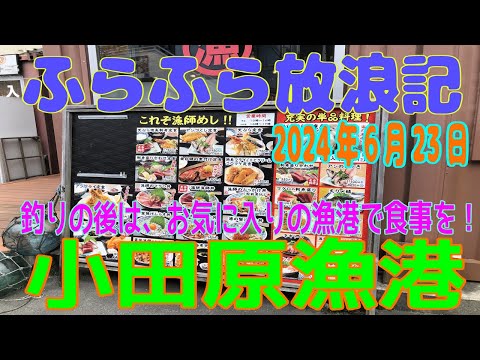 ふらふら放浪記プチ（小田原漁港）2024年6月25日