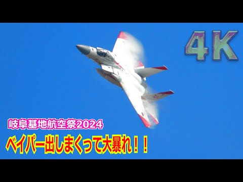 【4K】ベイパー出まくりで大暴れ！！F-15J 特別塗装機（初号機）観客も大興奮の機動飛行 2024/11/17【岐阜基地航空祭2024】