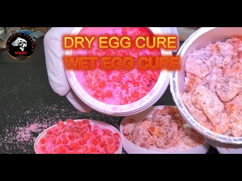 CURING EGGS FOR FISHING HOW-TO,MAKE FIRM EGGS, LAST LONGER,EP3 SALMON, STEELHEAD #fishing #fish