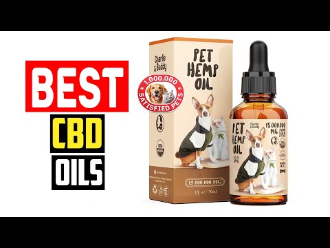 ✅Top 5  Best CBD Oils for Dogs in 2024