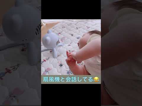 扇風機と会話 #shorts #赤ちゃん #baby