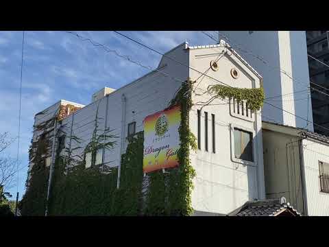 Hidden Japan  105     葉っぱで覆われた建物    Buildings covered with leaves