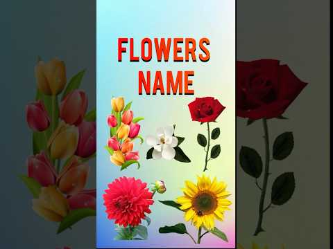 Flowers name in english #shorts #flowers #flowersnameinenglish