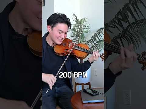 Violin VS Flute [Flight of the Bumblebee] 🐝 ft. Ray Chen