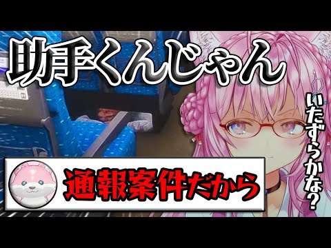 配信を観ているだけで不審者の可能性を疑われてしまう助手くん【博衣こより/ホロライブ切り抜き】